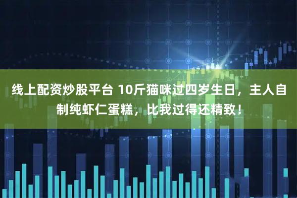 线上配资炒股平台 10斤猫咪过四岁生日，主人自制纯虾仁蛋糕，比我过得还精致！